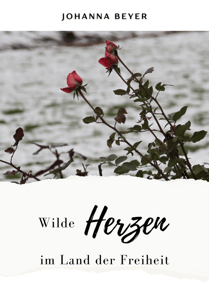 Wilde Herzen im Land der Freiheit