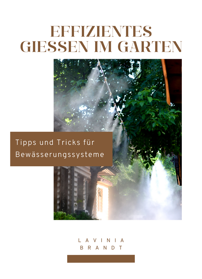 Effizientes Gießen im Garten