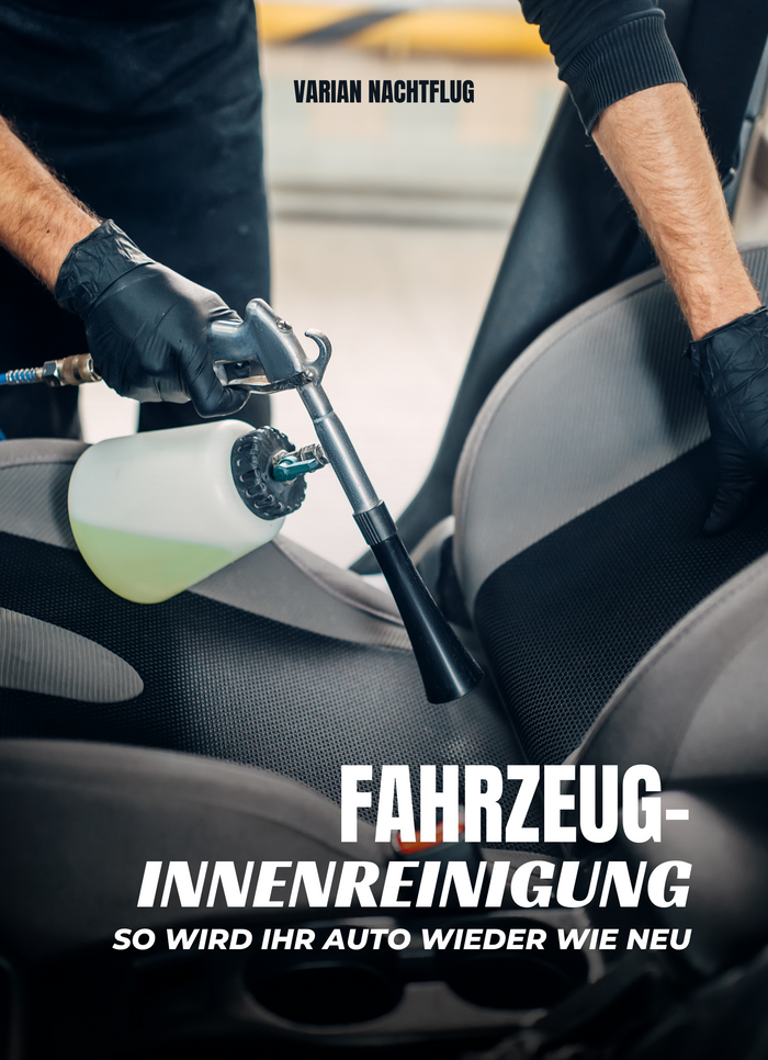 Fahrzeug-Innenreinigung