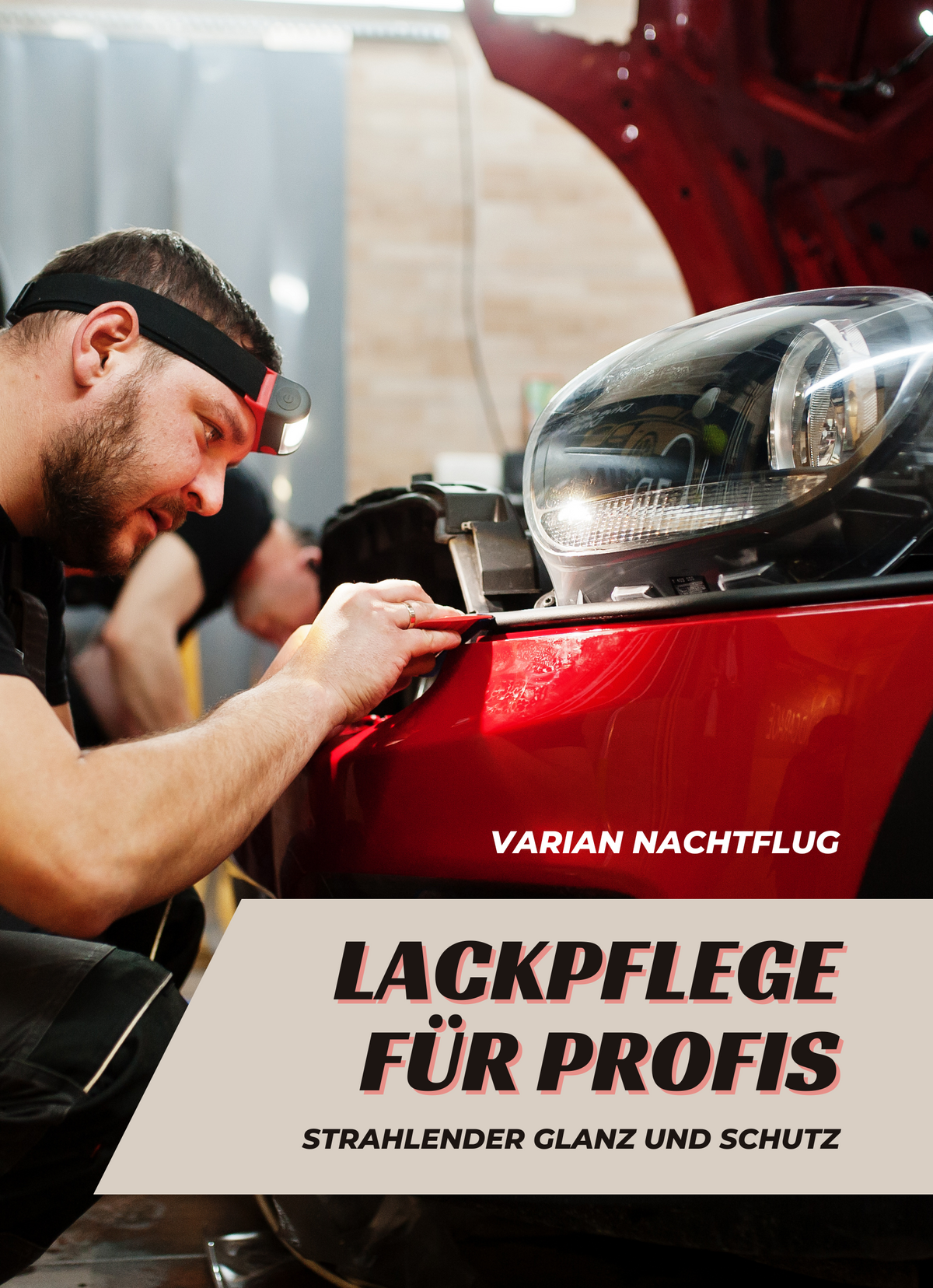 Lackpflege für Profis