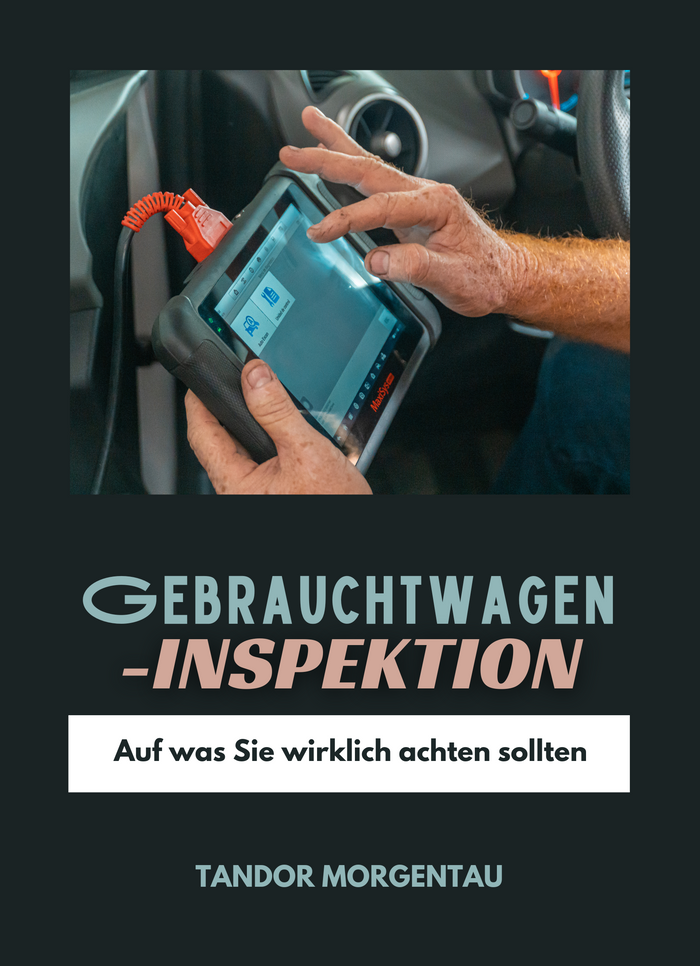 Gebrauchtwagen-Inspektion