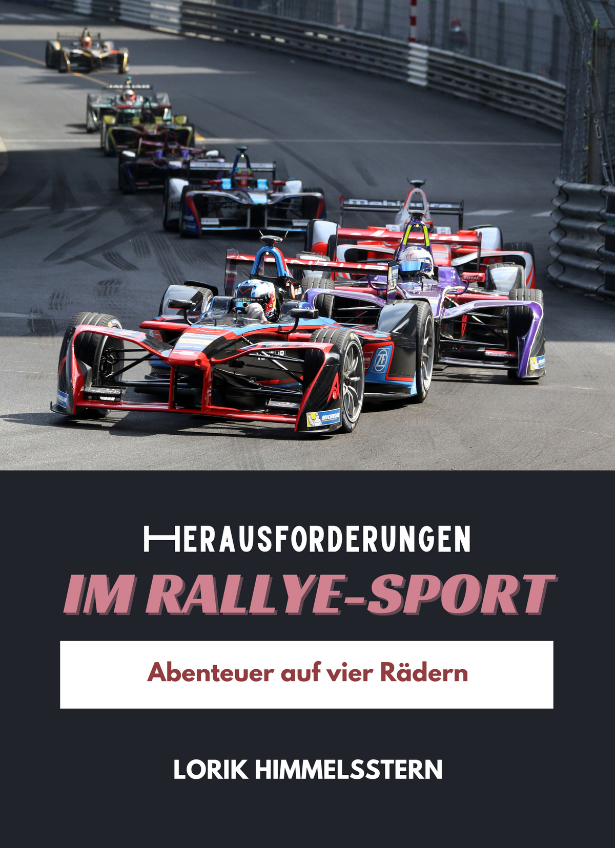 Herausforderungen im Rallye-Sport