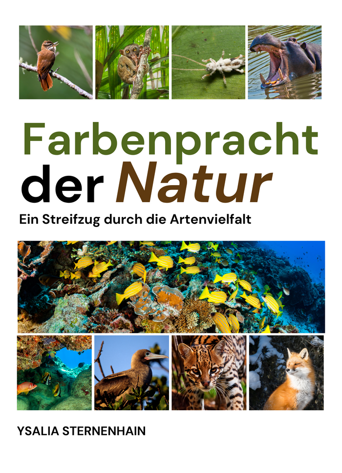 Farbenpracht der Natur