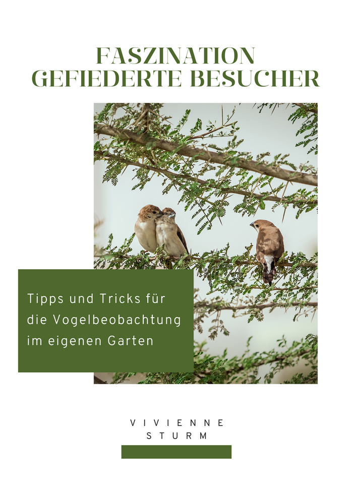 Faszination gefiederte Besucher