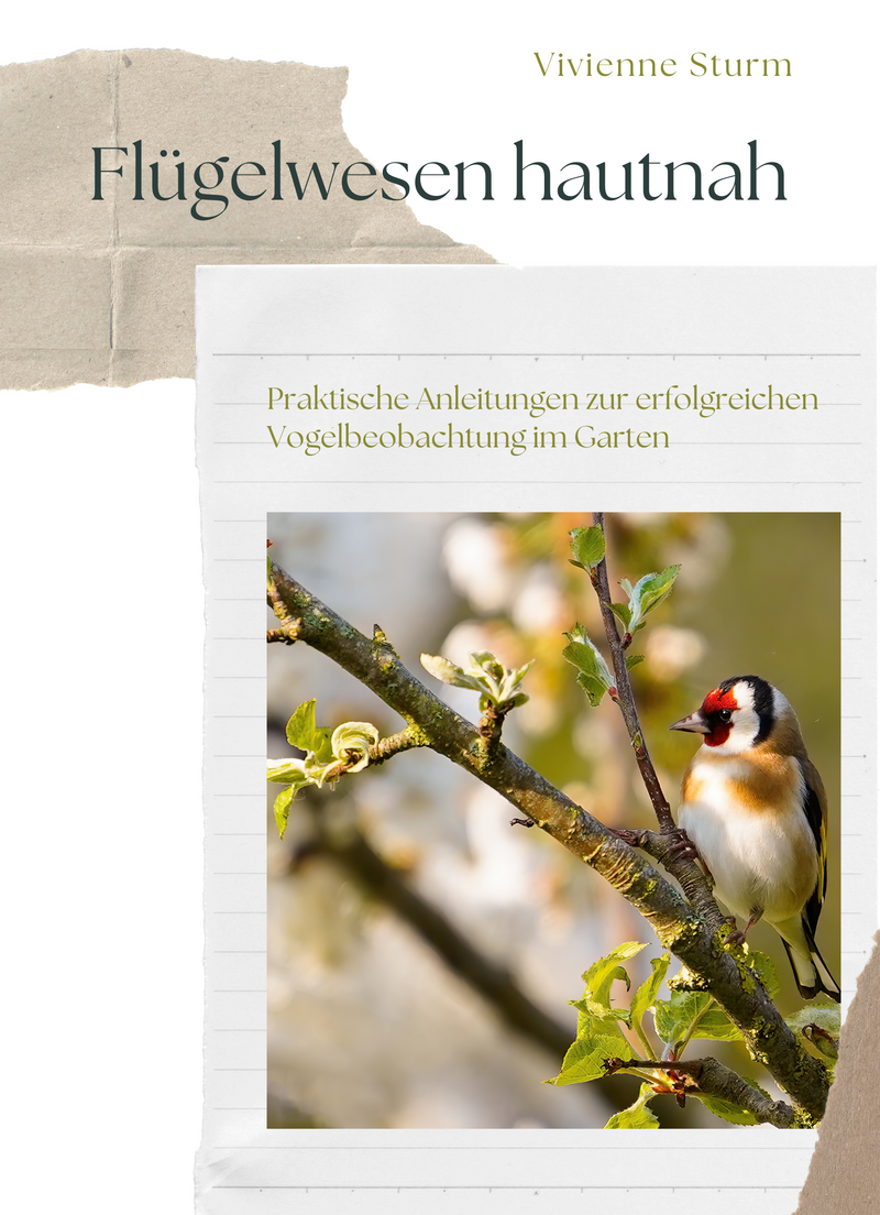 Flügelwesen hautnah