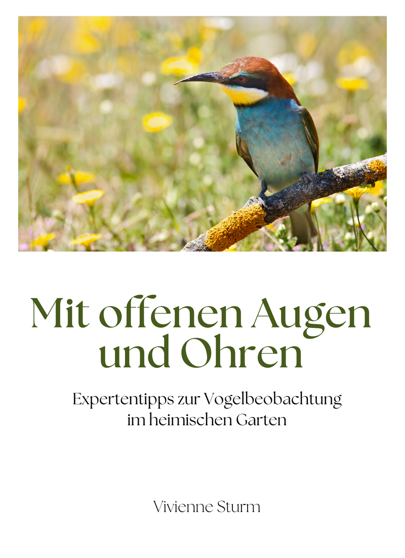 Mit offenen Augen und Ohren