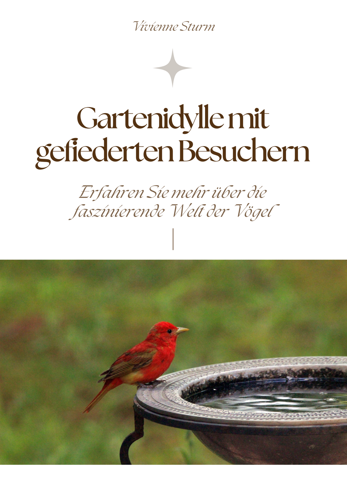 Gartenidylle mit gefiederten Besuchern