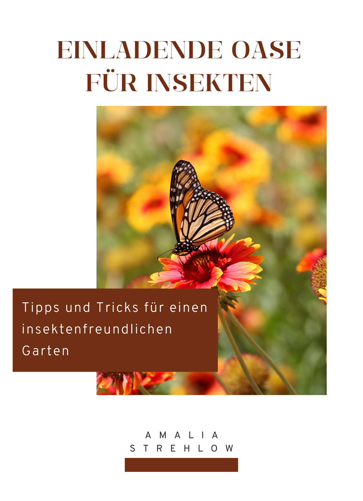 Einladende Oase für Insekten