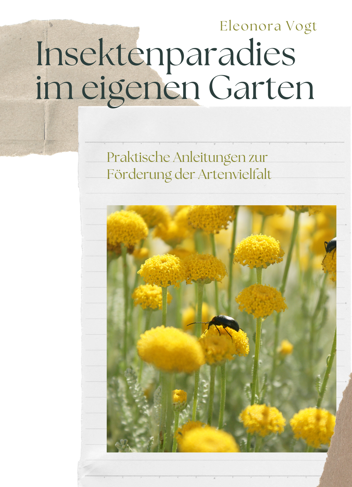 Insektenparadies im eigenen Garten