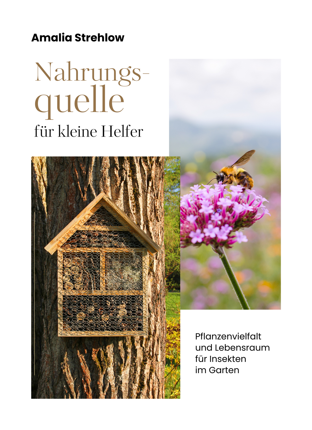 Nahrungsquelle für kleine Helfer