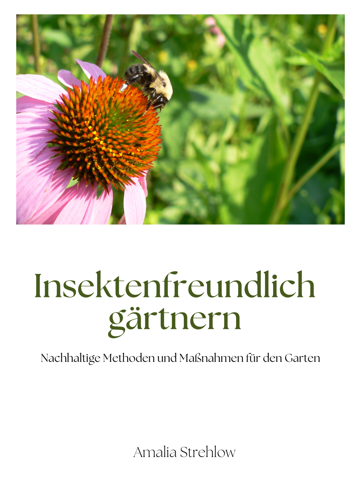 Insektenfreundlich gärtnern