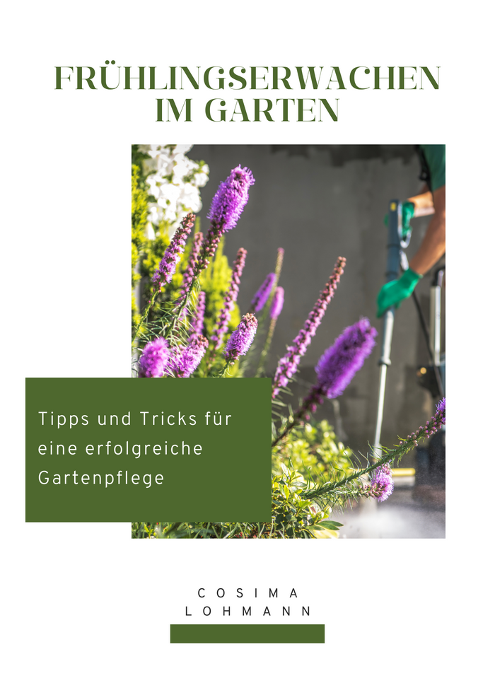 Frühlingserwachen im Garten