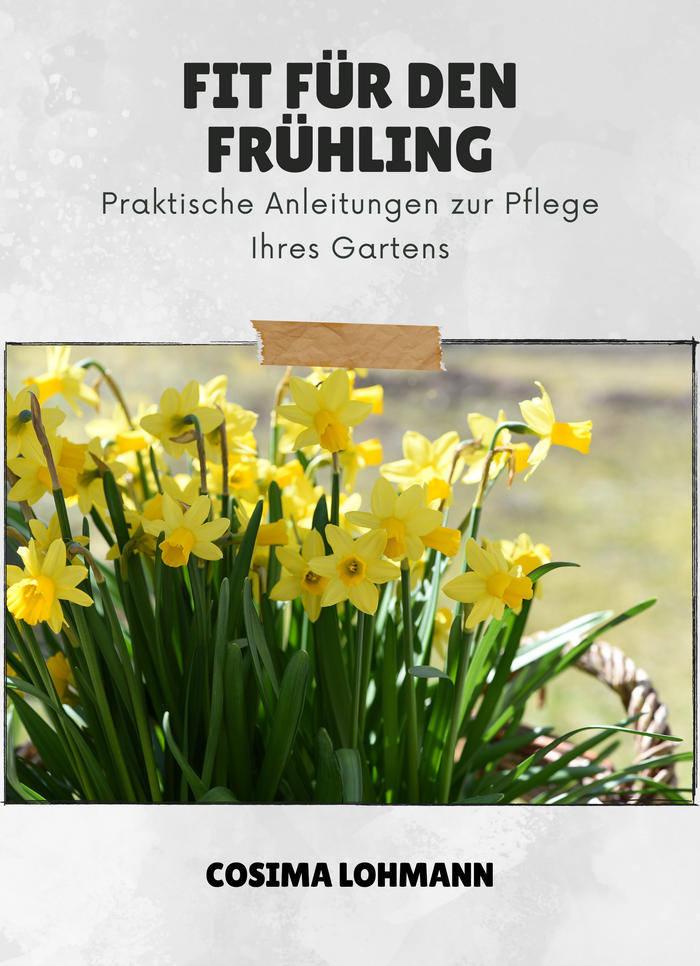 Fit für den Frühling