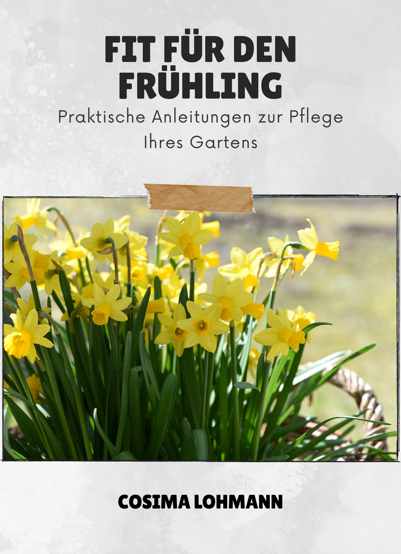 Fit für den Frühling