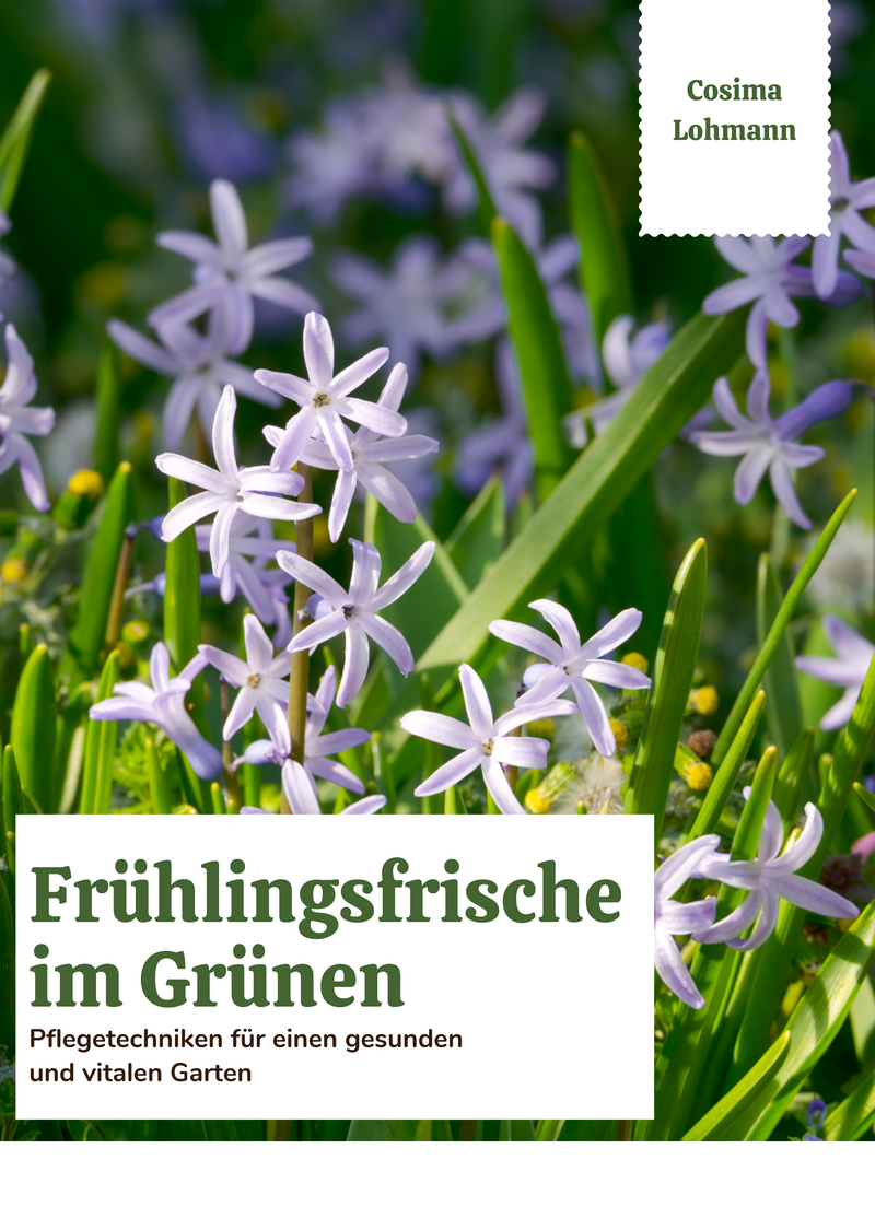 Frühlingsfrische im Grünen