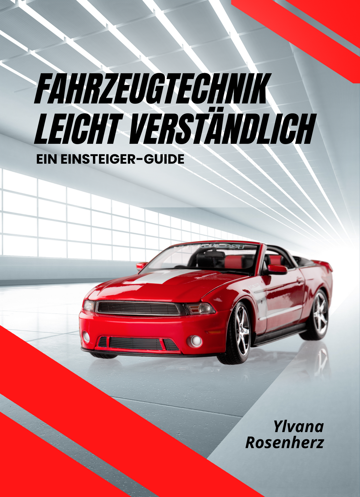 Fahrzeugtechnik leicht verständlich