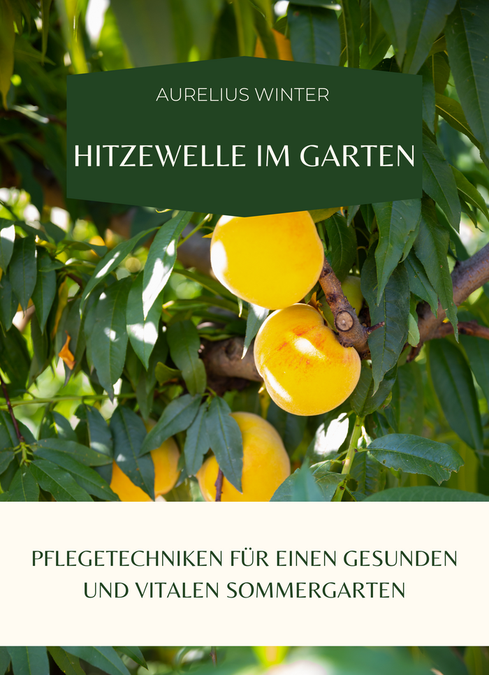 Hitzewelle im Garten