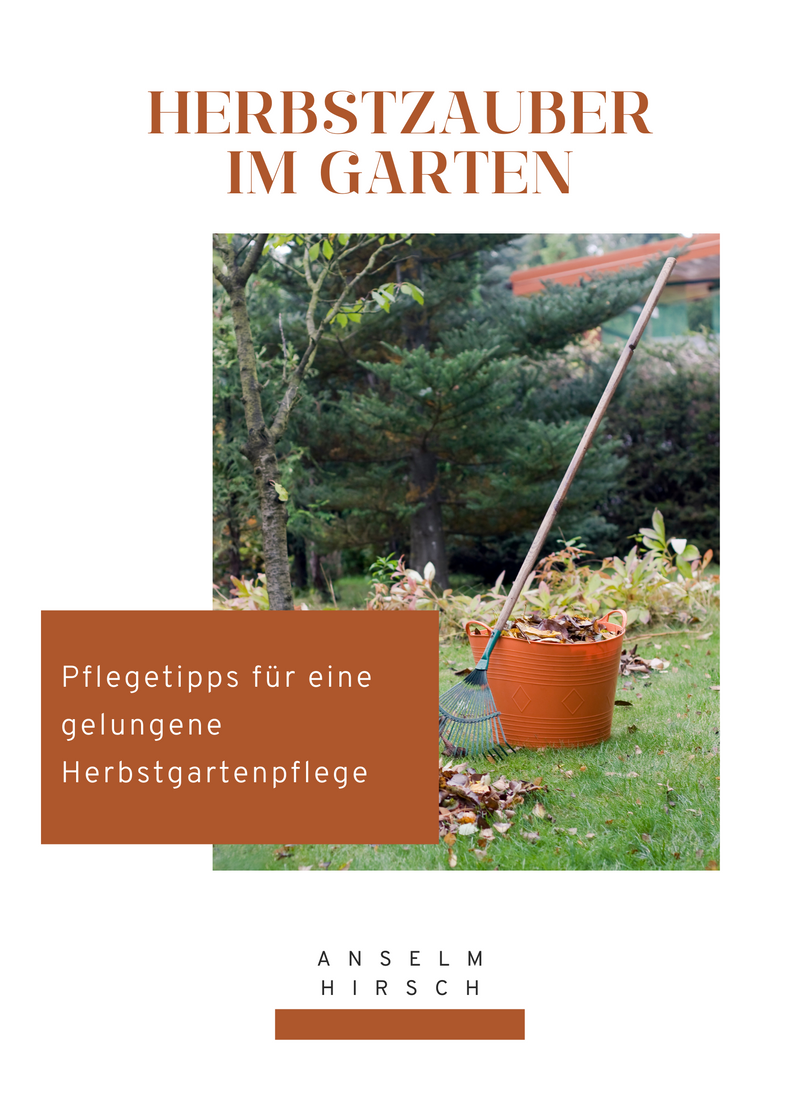 Herbstzauber im Garten