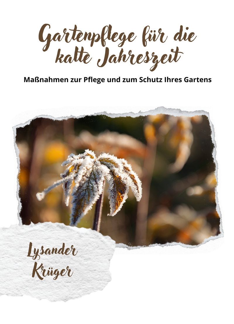 Gartenpflege für die kalte Jahreszeit