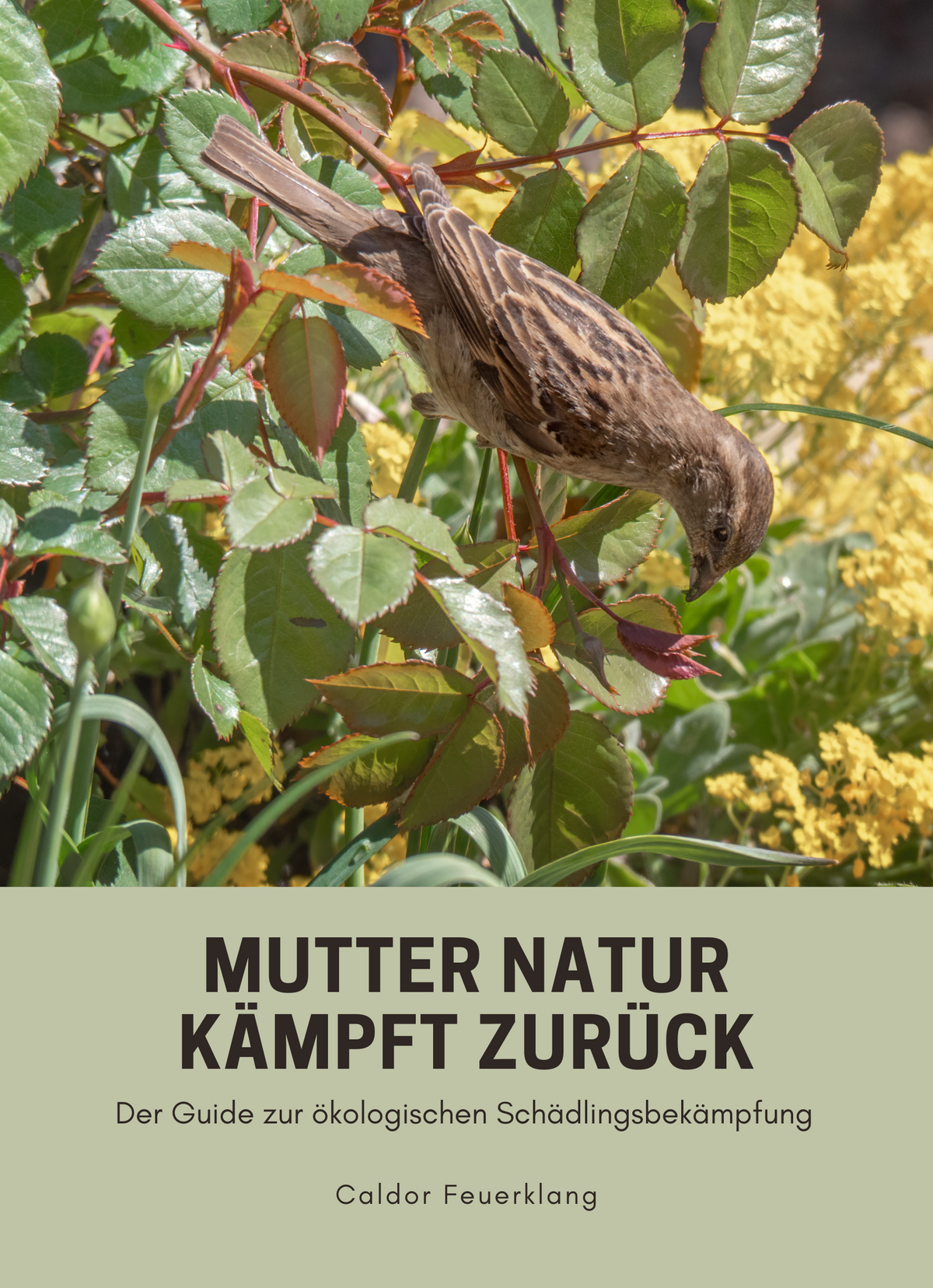 Mutter Natur kämpft zurück
