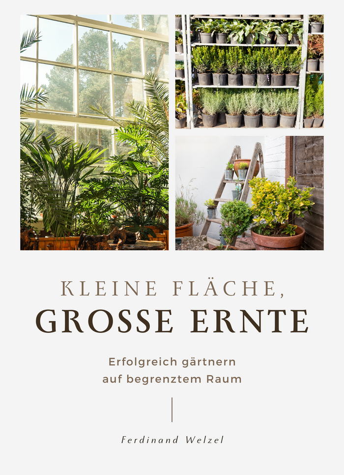 Kleine Fläche, große Ernte