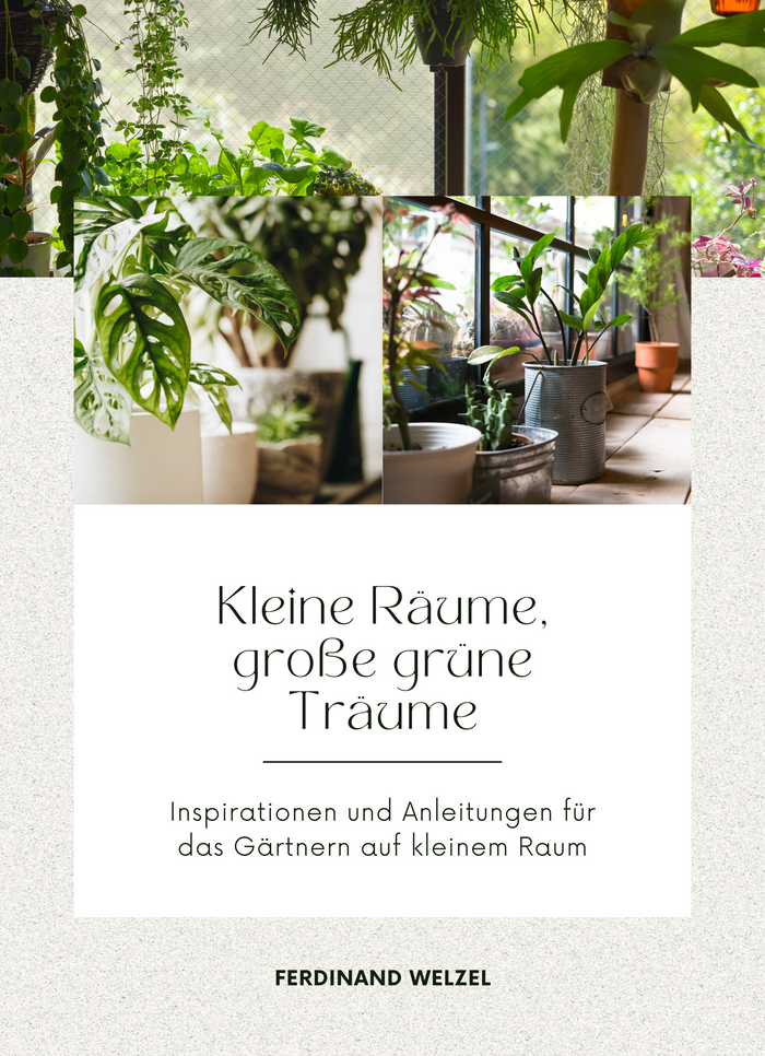 Kleine Räume, große grüne Träume