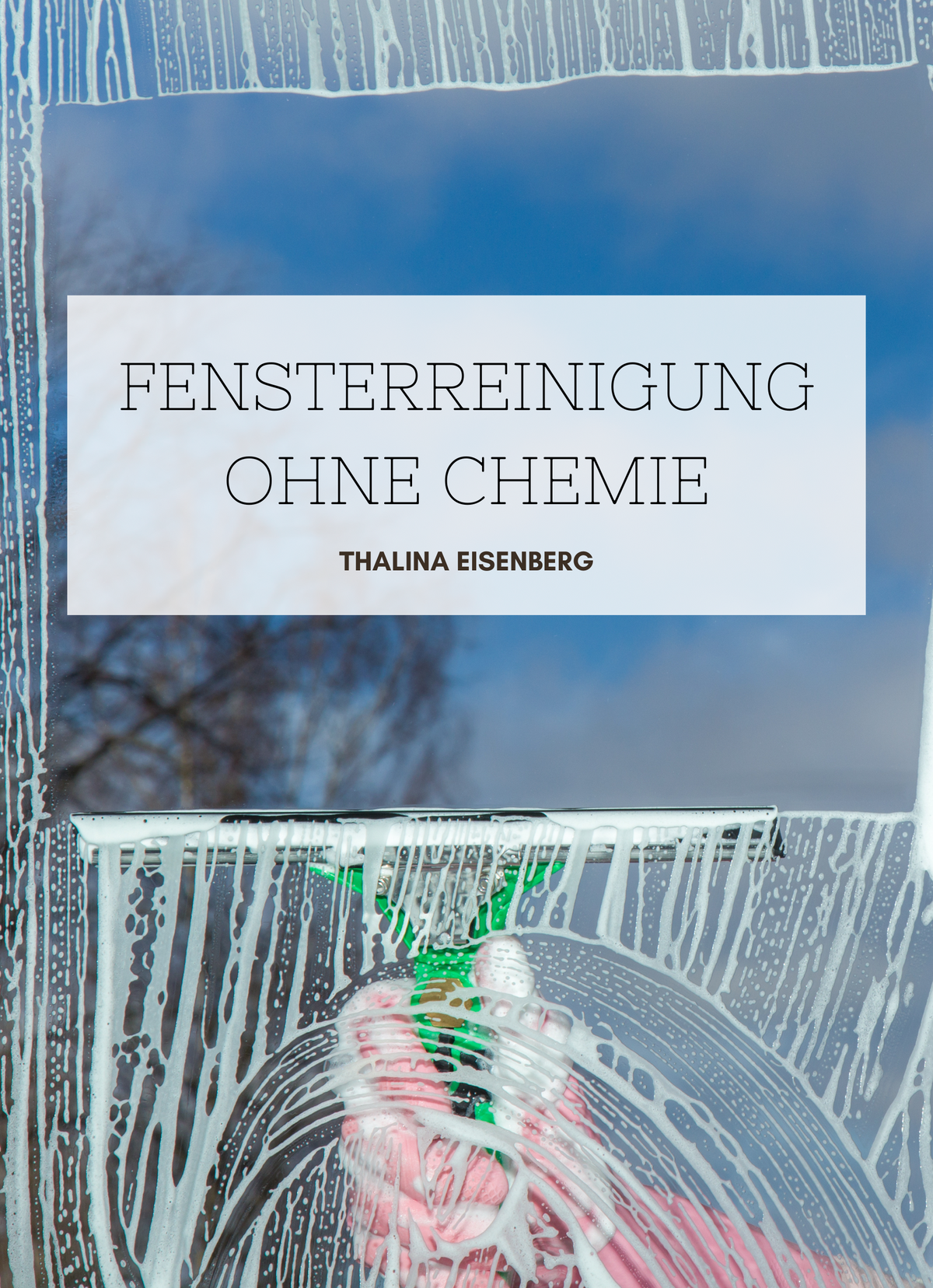 Fensterreinigung ohne Chemie