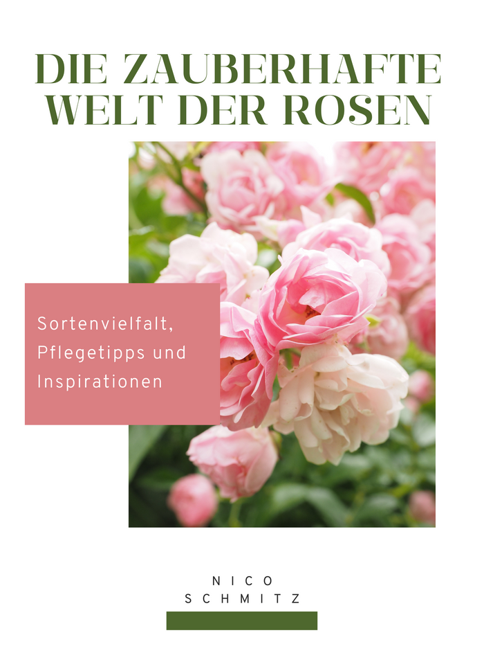 Die zauberhafte Welt der Rosen