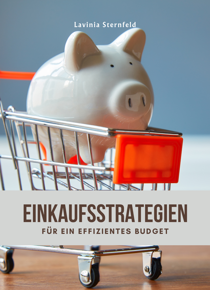 Einkaufsstrategien für ein effizientes Budget