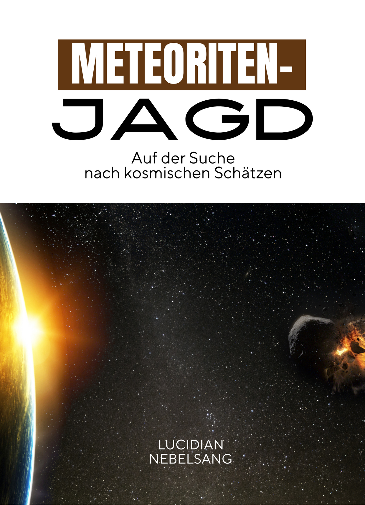 Meteoritenjagd